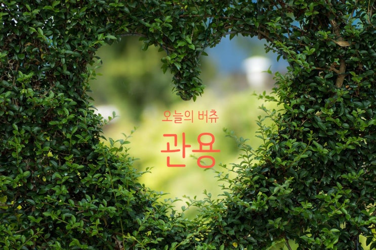  오늘의 버츄 - 관용의 미덕으로 부부갈등을 해결해보겠습니다.