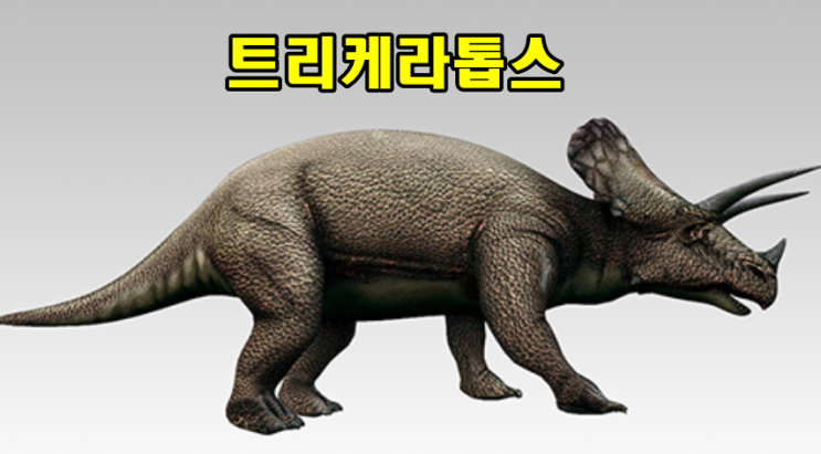  각룡류 트리케라톱스 triceratops 특징