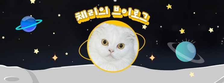  [냥이 일상] 체리의 일상 브이로그(&잡동사니) - 02