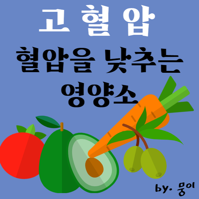  고혈압 : 혈압을 낮추는 영양소, 혈압조절