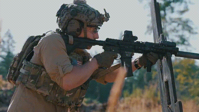  [gun story] 전설의 총기 HK416 ARCTURUS HK416A5 TAN 해외 직구 리뷰
