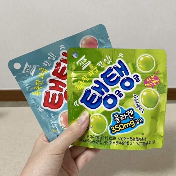  221121 / 젤리 원정대, 다이어리 살말 살말