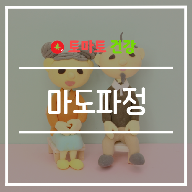  마도파정 250mg 약학정보원 효능 정보