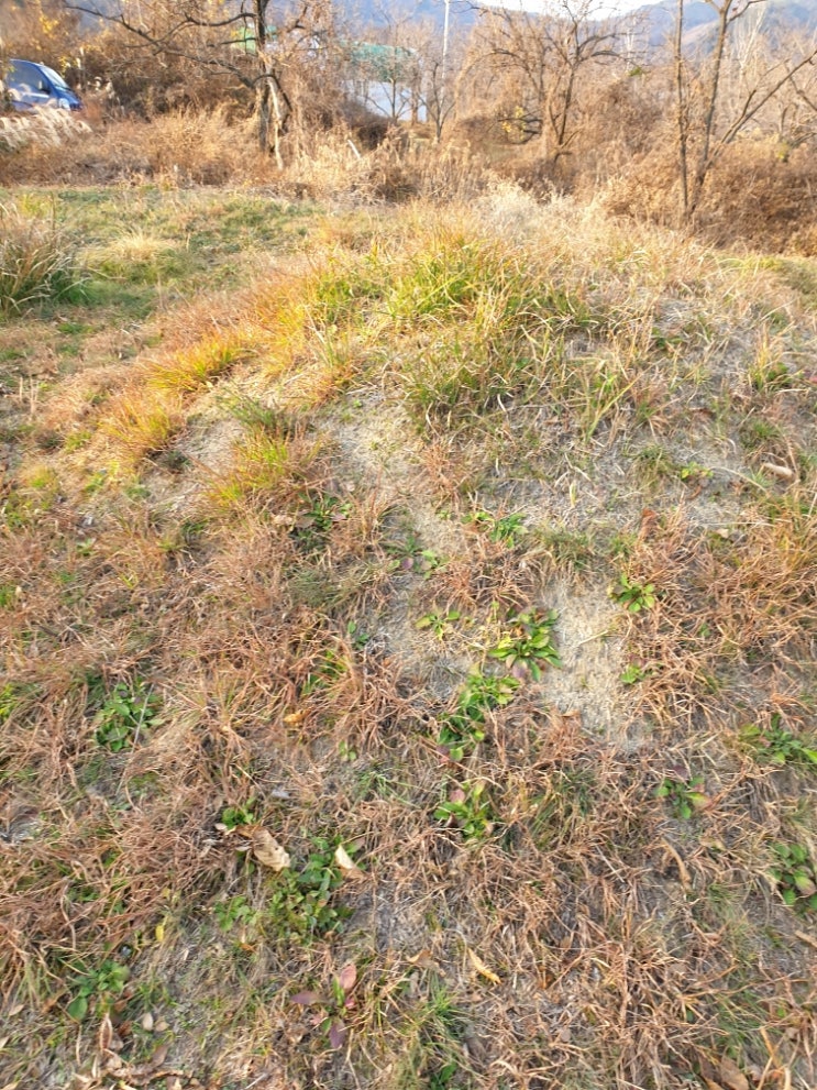  2022년 경북 상주시 낙동면 비룡리 화장후 합장 고인돌장묘개발 #화장 #이장 #합장 #상주장의사 #상주화장 #윤달 #이하늘장사
