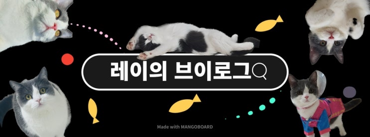  [냥이 일상] 레이의 브이로그 (&관찰일지) - 01