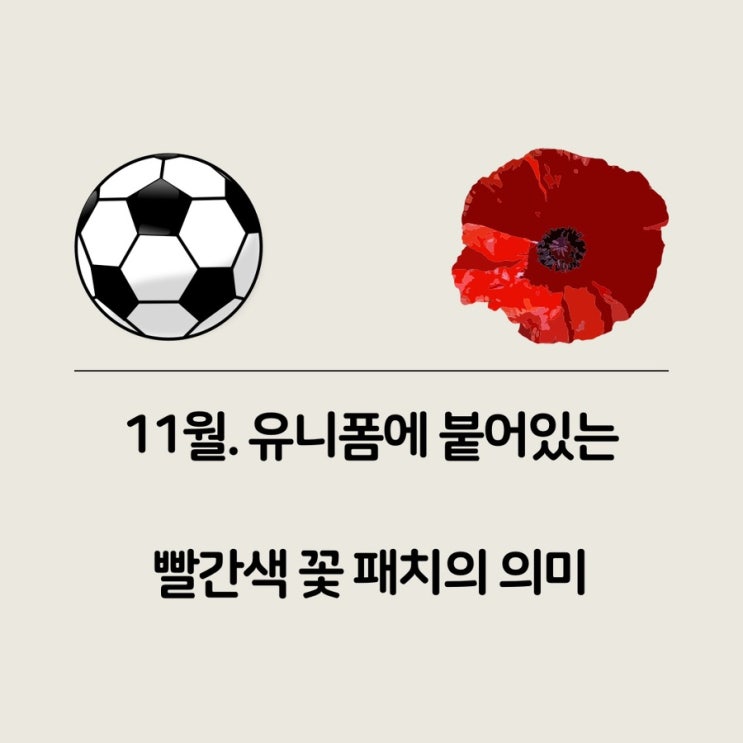  EPL 프리미어리그 축구 선수 유니폼의 빨간색 양귀비 꽃 패치의 의미