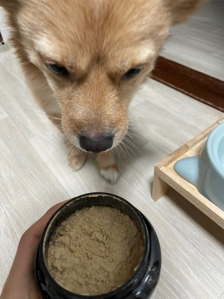 [강아지 눈 영양제] 강아지영양제/강아지눈물영양제/유기농영양제