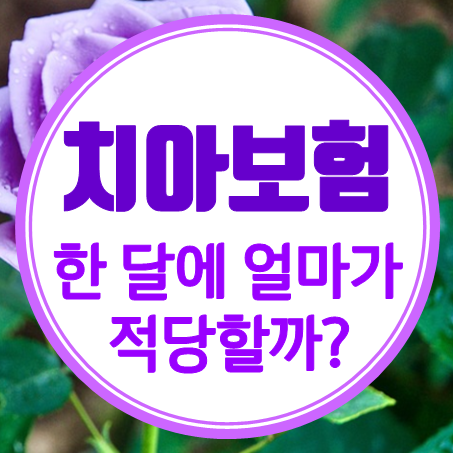  치아보험료 한 달에 얼마 정도가 적당할까?