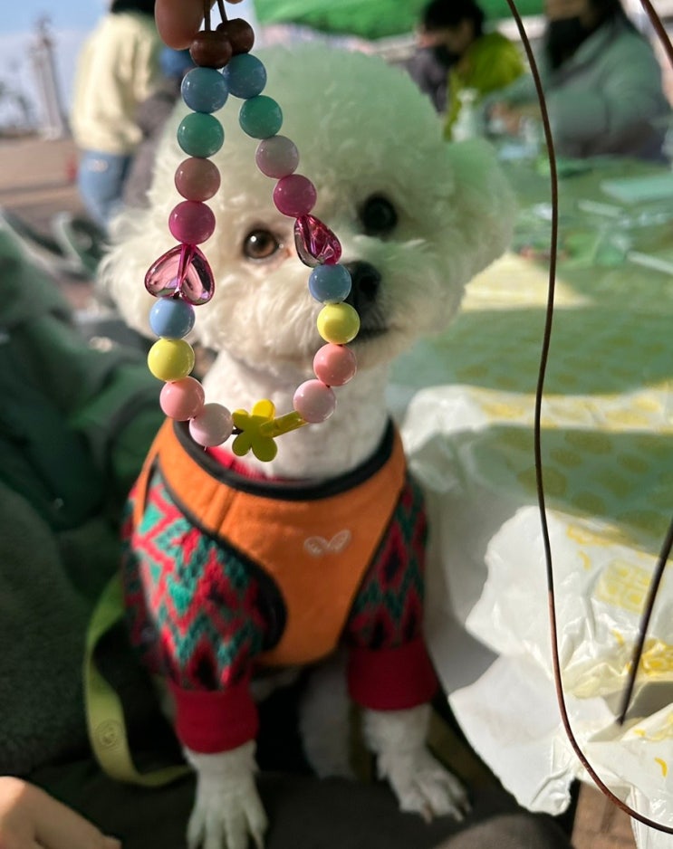  (22.11.19.) 진주시 반려동물 문화행사 다녀왔습니다 :)
