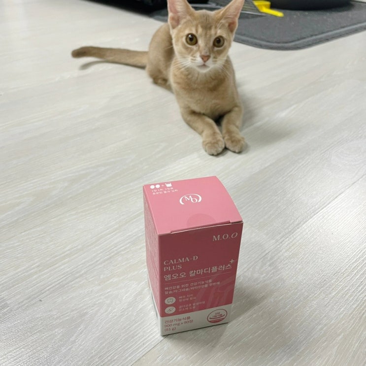  임산부와 수유부를 위한 영양제 엠오오 칼마디 플러스