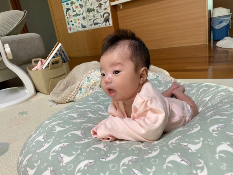  나무, 열매아빠 육아일기(6) - 열매야 너 신생아야....
