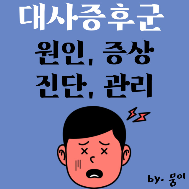  대사증후군 : 원인, 증상, 진단, 관리