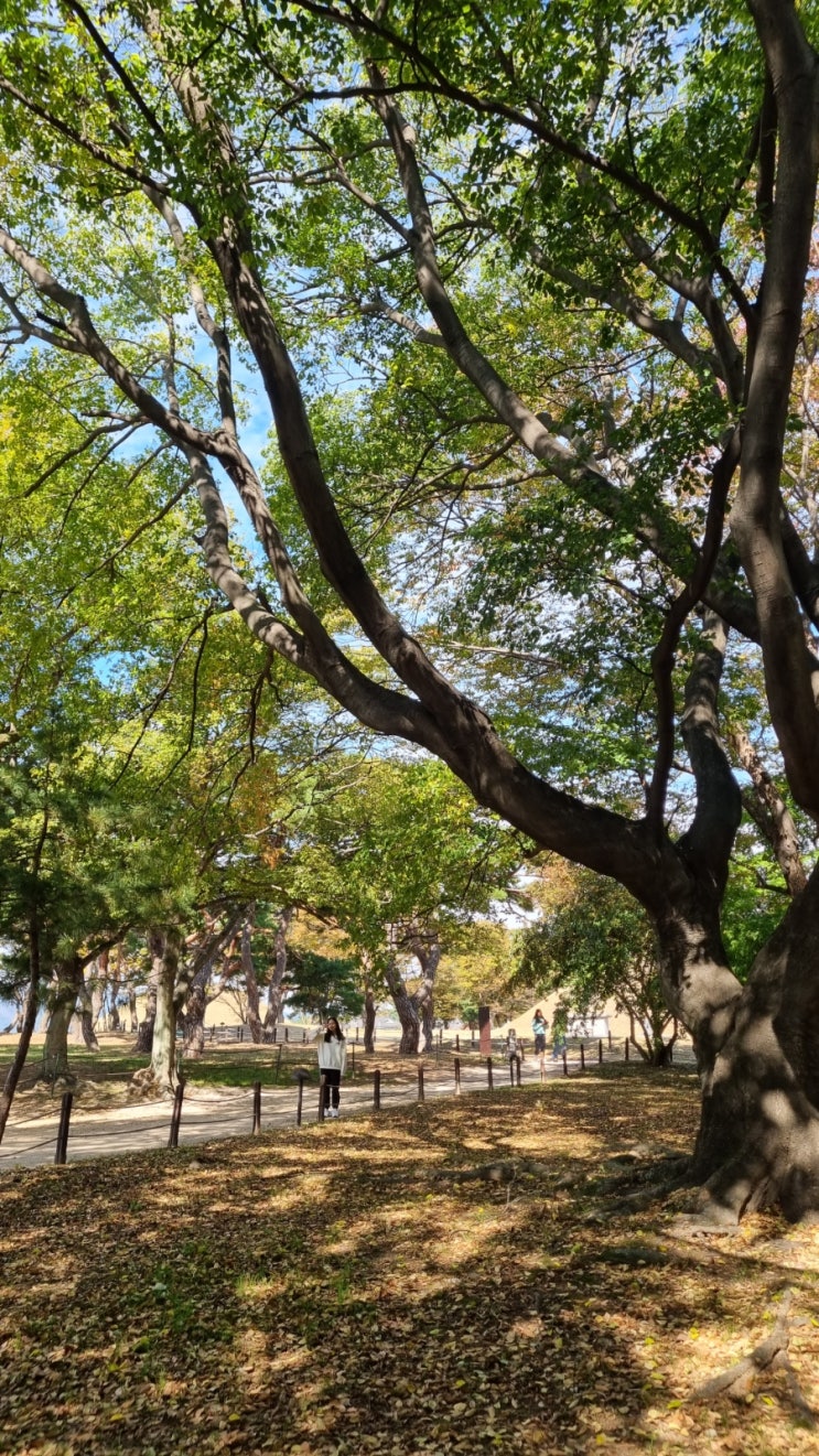  은퇴 후 아직까지도 자신의 중요성을 부각시키려 노력하고 있지 않나요?
