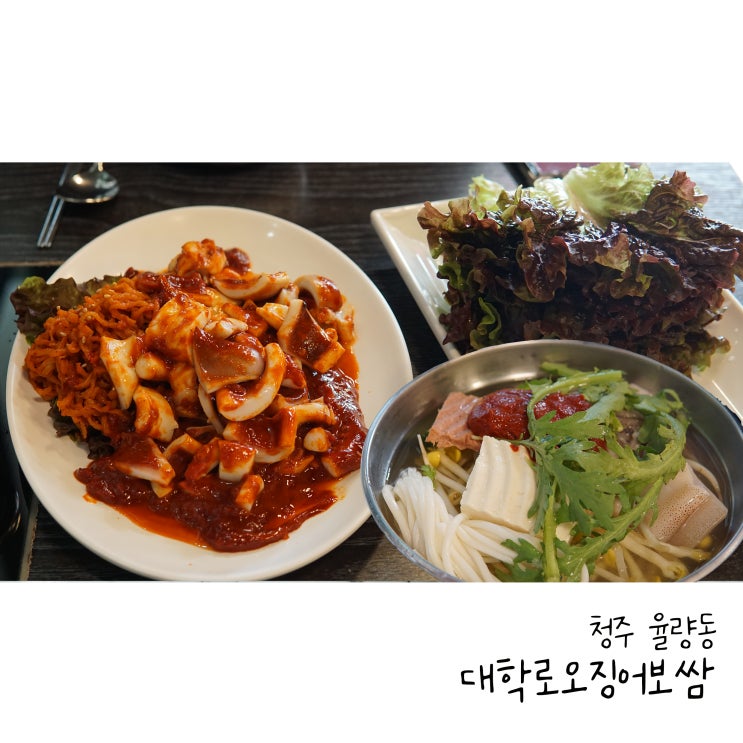  청주 율량동 맛집 매콤하고 쫄깃한 대학로오징어보쌈