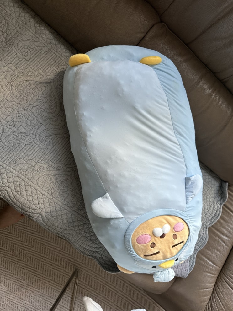  라이언카카오프렌즈 시원한 롱 필로우 펭귄 라이언 인형 쿠션 근황... ( 인형 관리법 )