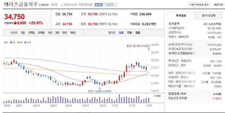  메리츠금융지주 메리츠화재 메리츠증권 3형제상한가