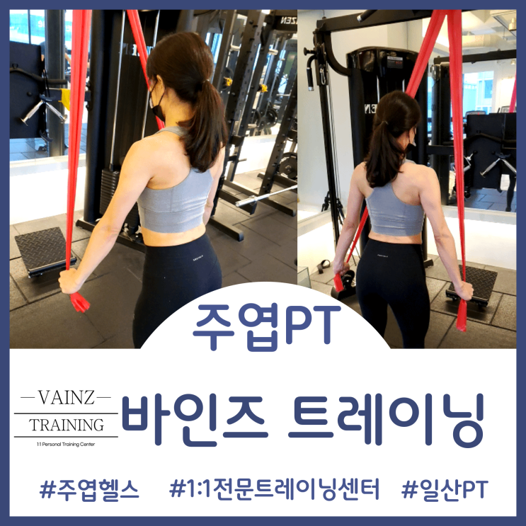  주엽PT - 스포츠재활전문가의 체형분석부터 운동처방까지 바인즈 트레이닝에서 1:1 PT 받은 후기