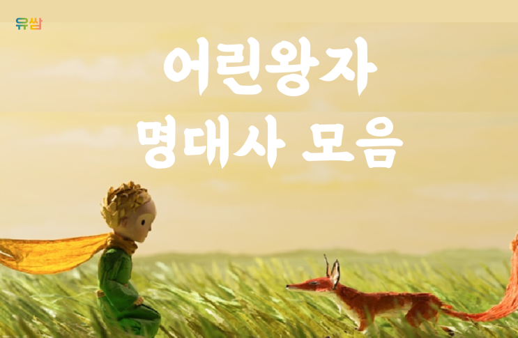  어린왕자 명대사 - 네 장미꽃을 그렇게 소중하게 만든 것은그 꽃을 위해 네가 소비한 시간이란다.