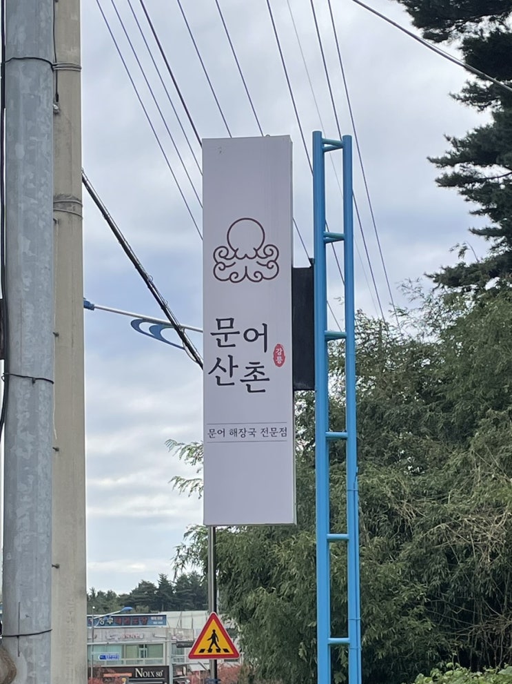  강릉 맛집 문어산촌 문어산촌전골과 육회비빔밥 현지인 맛집으로 인정할만한 곳