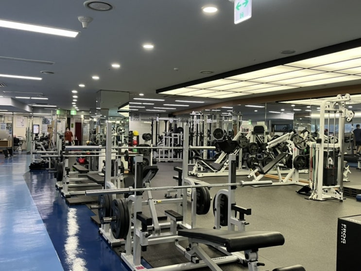  올림픽공원 스포츠센터 :: 깔끔하고 가성비 좋은 헬스장