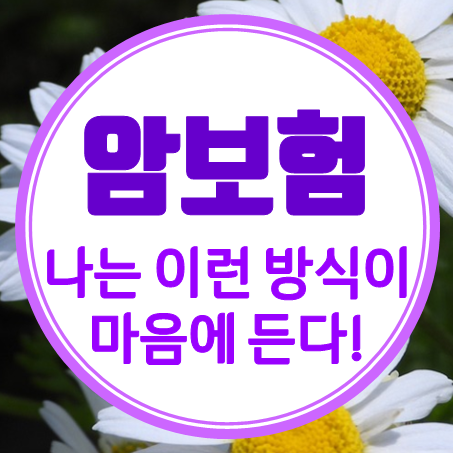  암진단비보험 사람마다 다른데 나는 이런 방식이 좋더라.