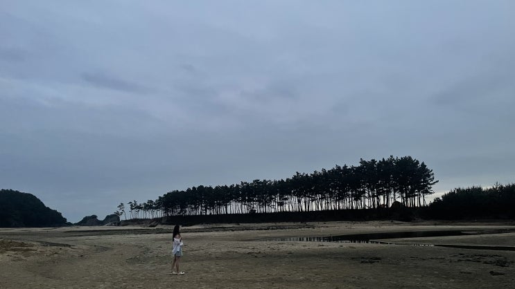  태안 여행 :) 꽃게다리와 꽃지해수욕장, 그리고 일몰이 아름다운 운여해변(feat.안면가 용궁철판)