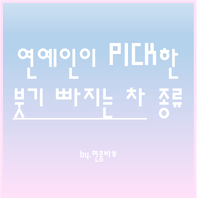 여자 연예인이 PICK한 붓기 빠지는 차(8종)