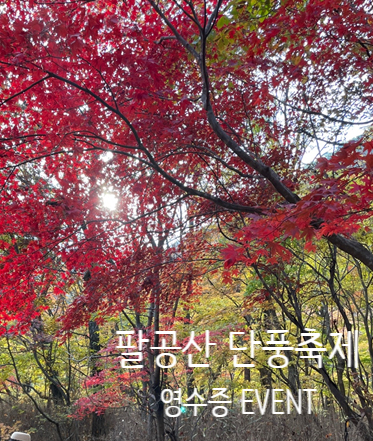 팔공산 단풍축제 영수증 이벤트 참여해 봅시다.