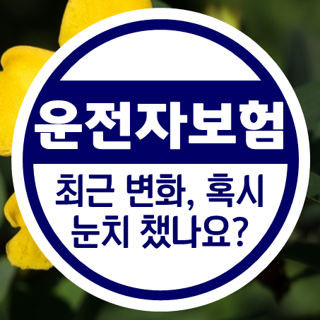  운전자보험 금액, 최근 변화가 있었는데 눈치챘나요?