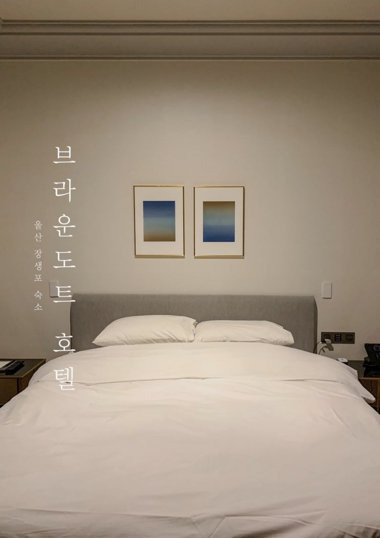  [울산] 브라운도트호텔 장생포점, 울산 장생포 숙소