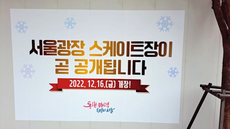 오늘의 식후땡, 서울광장 스케이트장 개장일과 시청광장 크리스마스 트리 오늘의 식후땡, 서울광장 스케이트장 개장일과 시청광장 크리스마스 트리