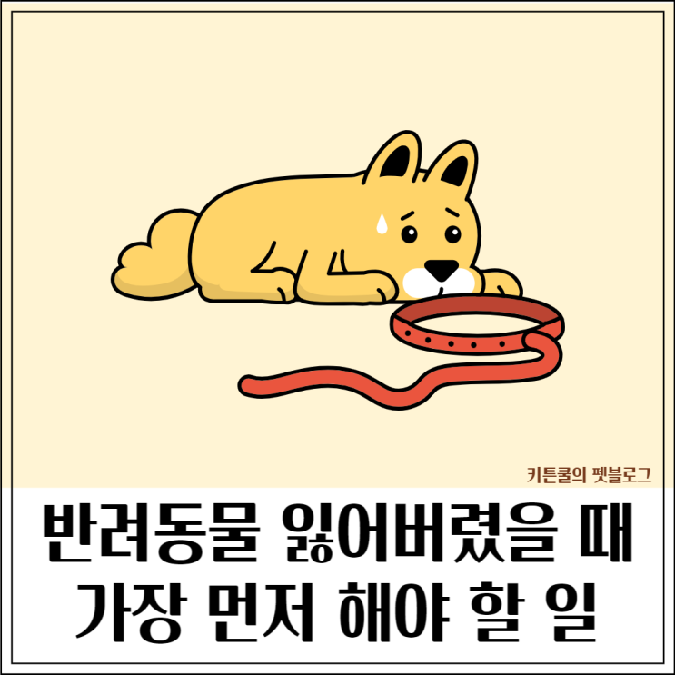  강아지 고양이 잃어버렸을 때, 7가지 실종신고방법