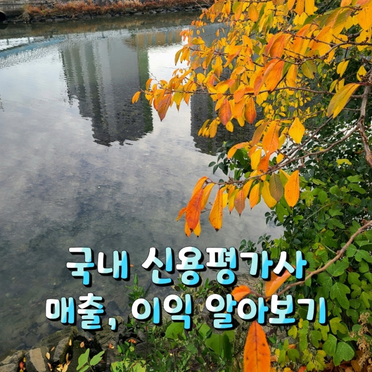 국내 신용평가사(feat. 한국기업평가, 한국신용평가, 한국평가데이터, NICE신용평가, 이크레더블, 나이스디앤비, 서울신용평가, SCI평가정보)