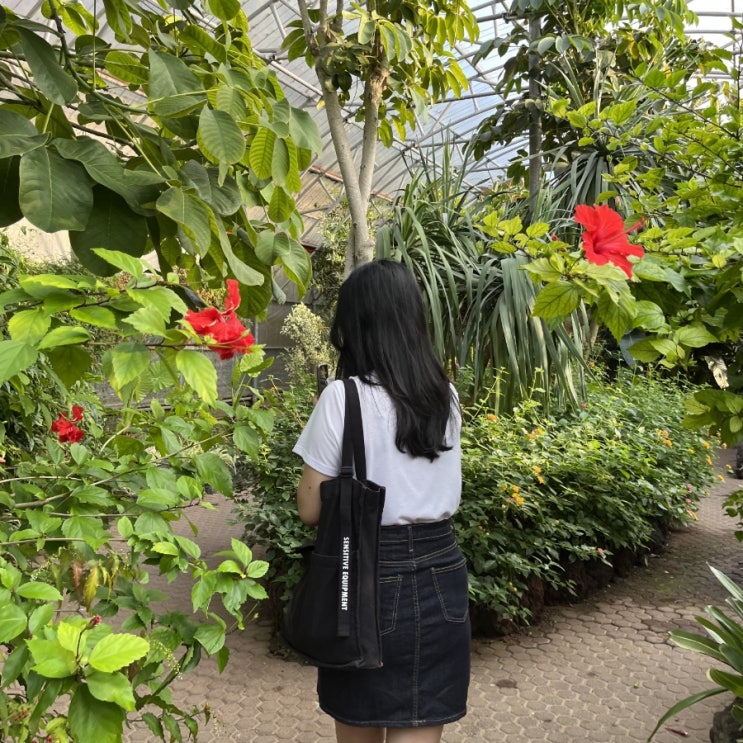  [제주/한림, 협재] 한림리조트/강식당/한림공원/별돈별 협재해변점