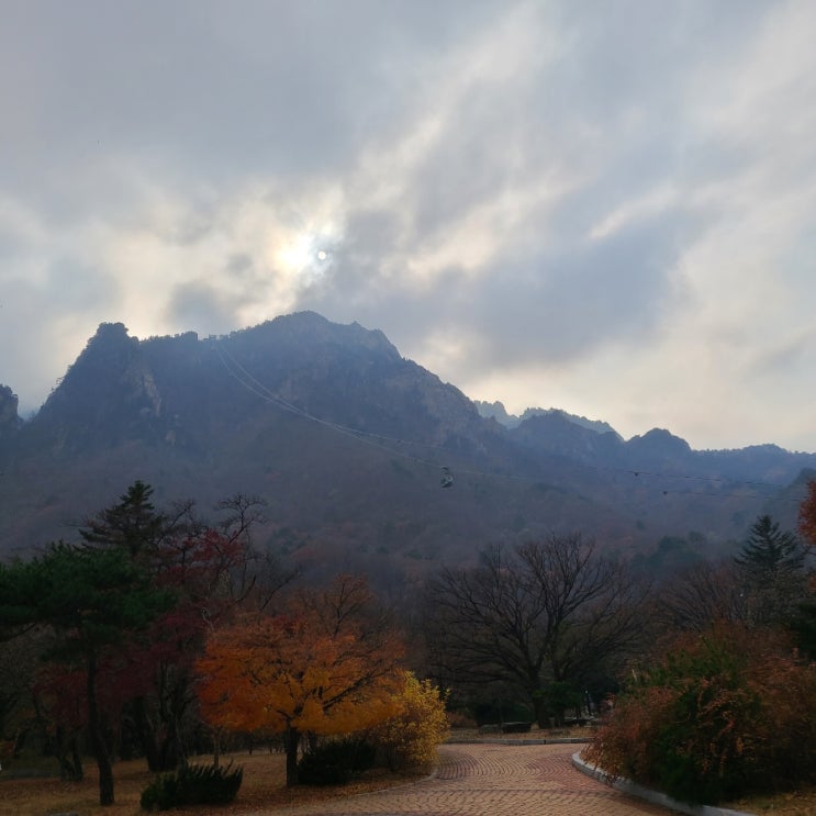  11월의 속초, 설악산 단풍구경(feat.안개가 심했던 날의 풍경)