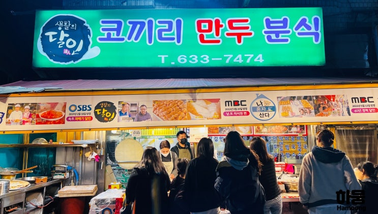  속초 중앙시장 맛집은 여기! 코끼리만두분식/인생역전/미원수산활어회센터