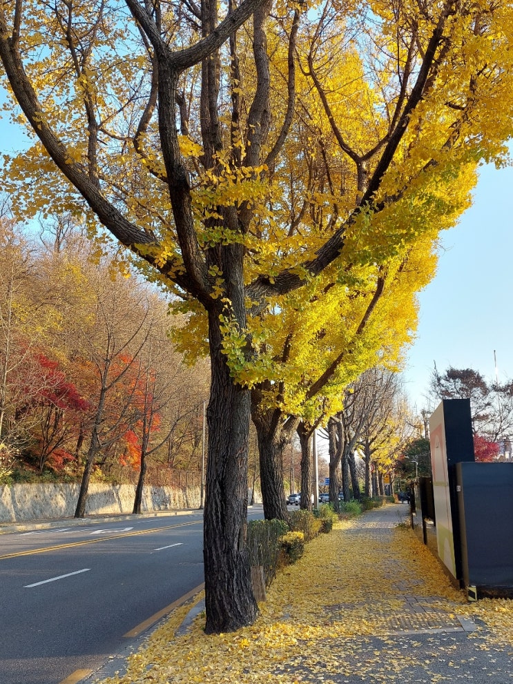 질문 쉬고 비어내는 시간,  오늘도 나는 내게 질문한다