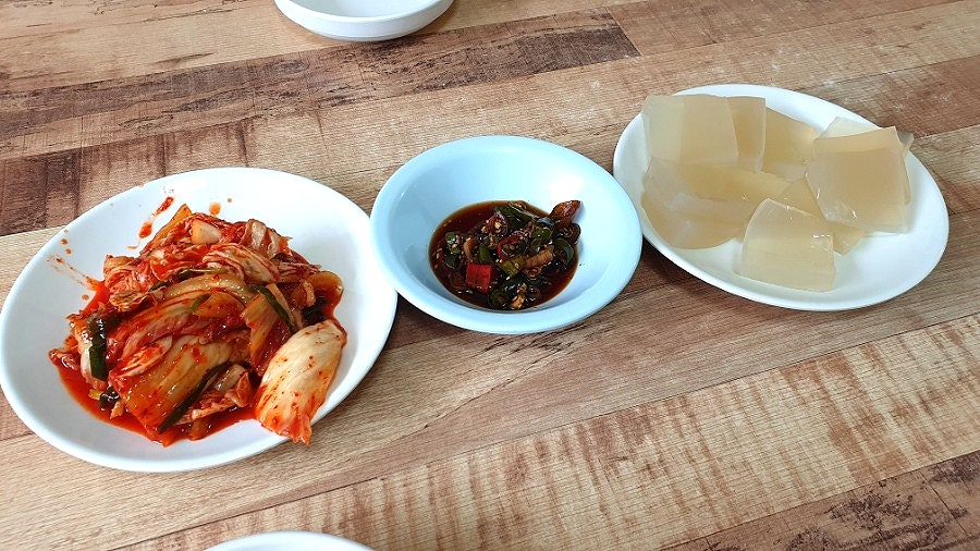 물망초 사진 2