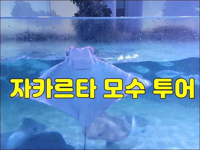  자카르타 데이투어 모수투어