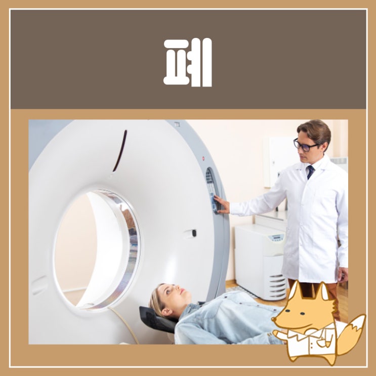  폐암 검사 비용 저선량 폐 CT : 폐암 초기 증상 말기증상 수술 폐암 4기 생존율 뇌전이 소세포 폐암 폐암에 좋은 음식