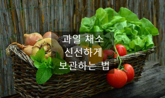  과일 채소 신선하게 보관하는 법