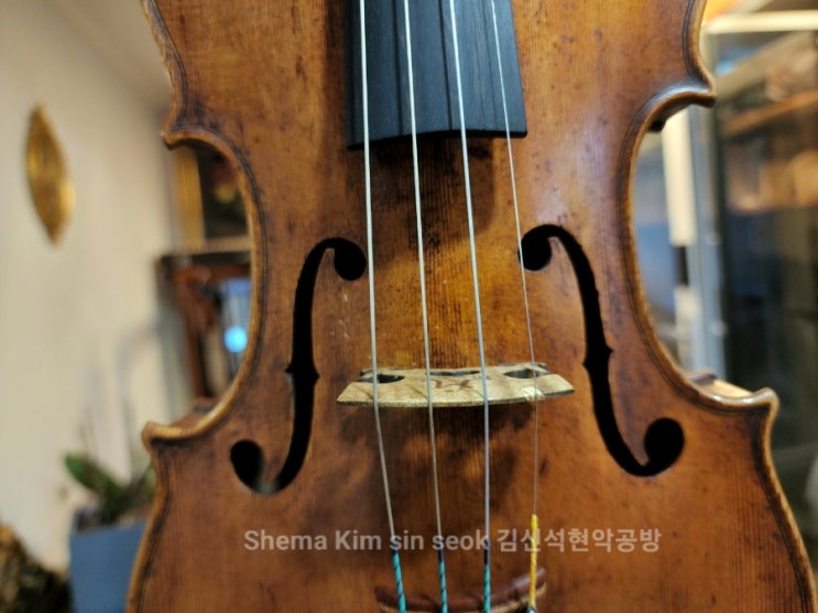 사립초,국제학교 수제 바이올린, 첼로 콩쿨 입상용 악기 대여(렌탈), 사이즈 업그레이드 서초동 현악 공방