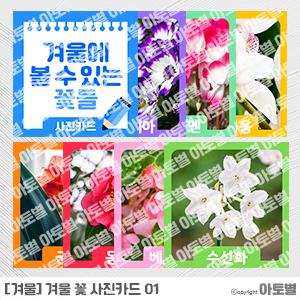  어린이집 겨울 탐색놀이, 겨울꽃 사진카드, 겨울용품 바느질놀이, 겨울잠 자는 동물들 바느질 놀이
