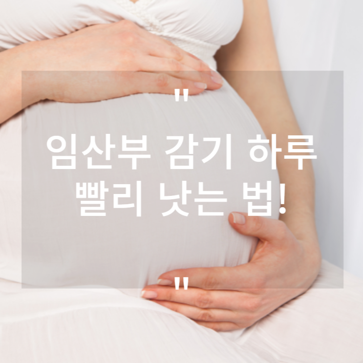  임산부 감기 빨리 낫는 방법 자연치유 법!