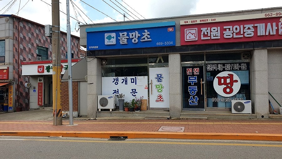 물망초 사진 1