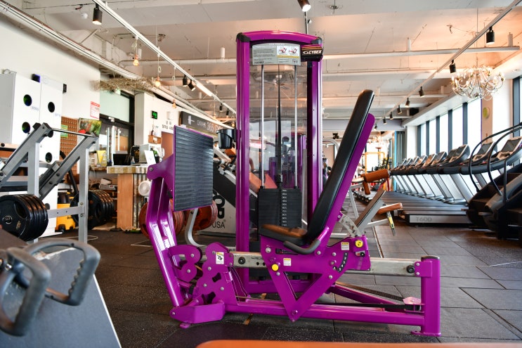  청주 우암동 헬스장 청주대 헬스장 다이어트 365GYM 다짐어플 할인 받아 다니기