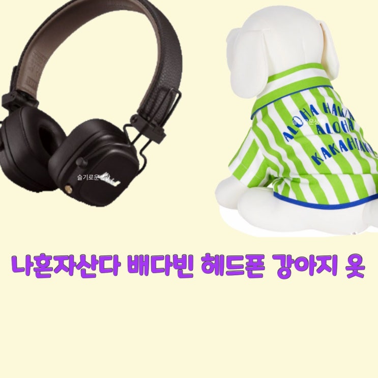 배다빈 나혼자산다471회 민들레 헤드폰 헤드셋 블루투스 강아지 옷 패션