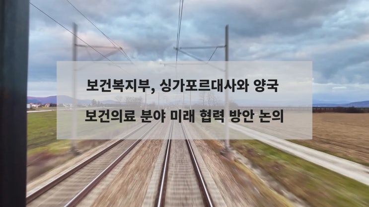 보건복지부, <b>싱가포르</b>대사와 양국 보건의료 분야 미래 협력... 