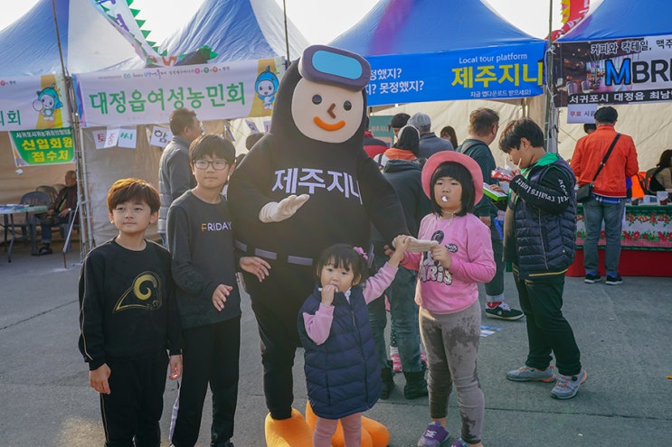  모슬포항 방어축제 2022 일정/체험 (제주 모슬포 방어축제)