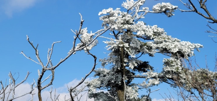 22년 덕유산 첫 눈꽃을 보다